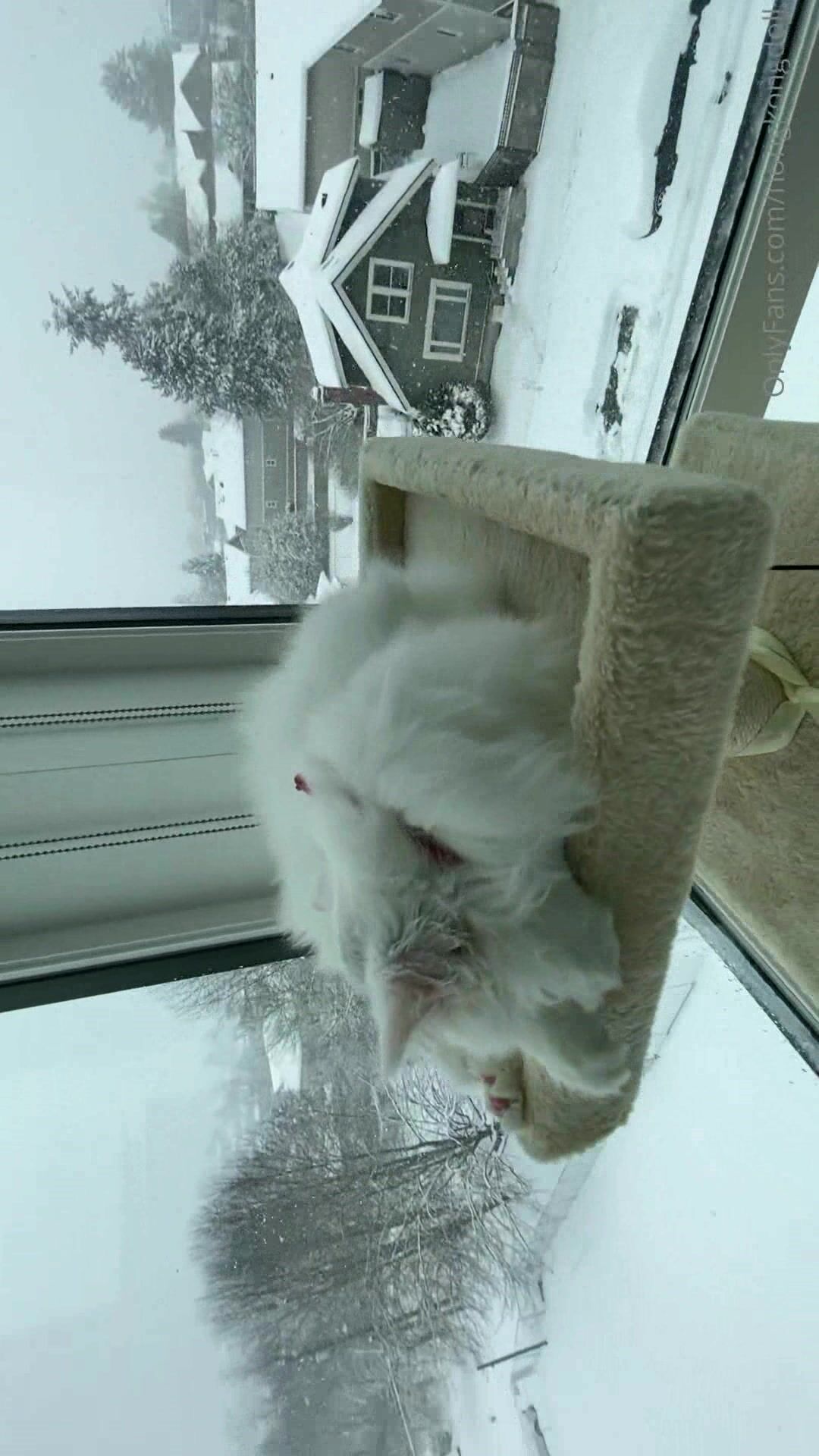 【极品❤️推荐】超爆极品女神『香港美少女』玩偶姐姐大尺度私拍日常补录未流出 原版私拍123P 高清1080P原版无水印