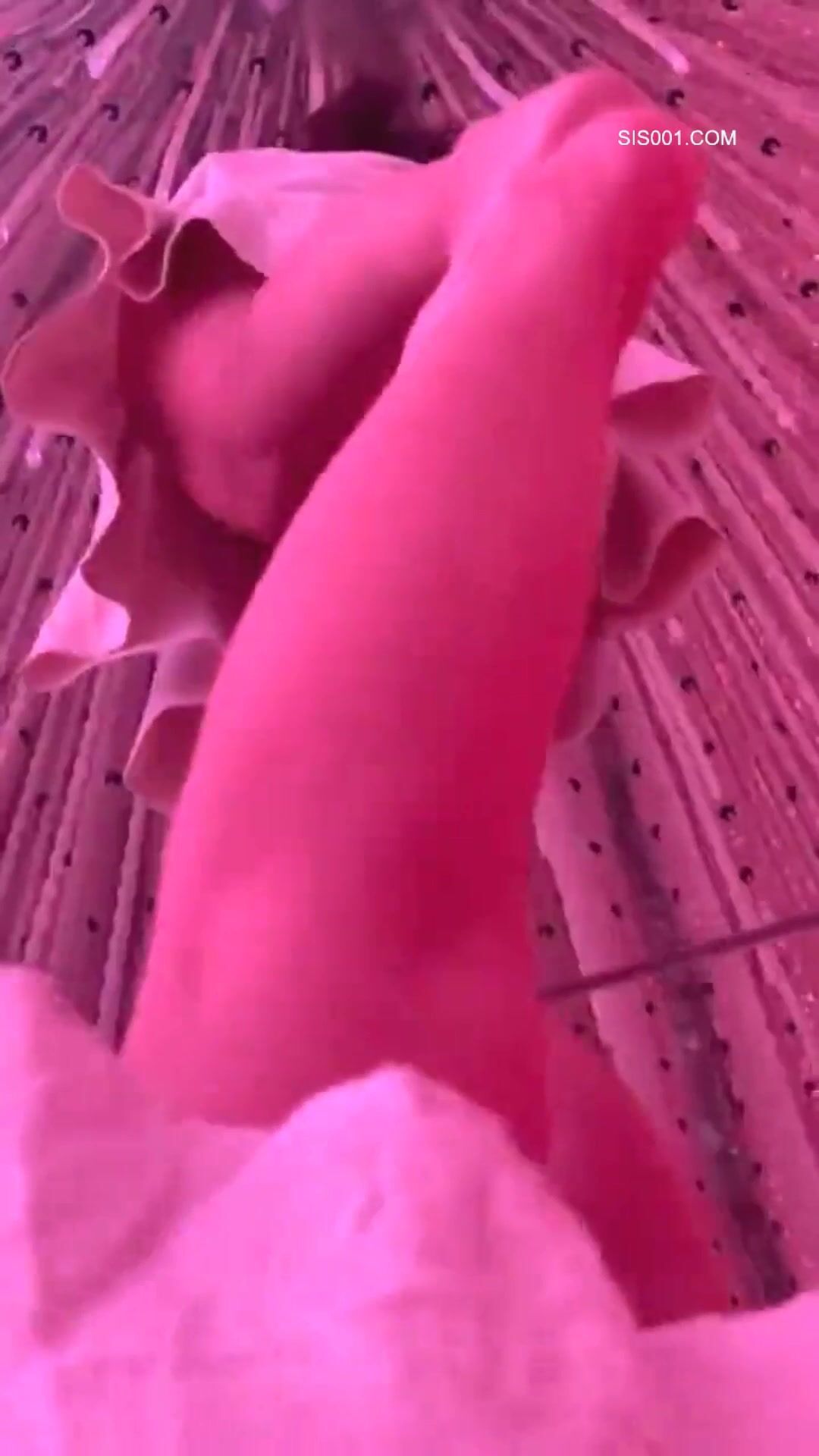 这个好 不知道在哪里 我胆子小 不敢偷拍 这样就可以大胆的跟着慢慢欣赏