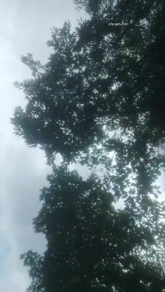 【無水印原版--新片速遞】2022.7.25，【探个花内个射】，良家小少妇，赚钱补贴家用，颇有几分姿色皮肤白皙