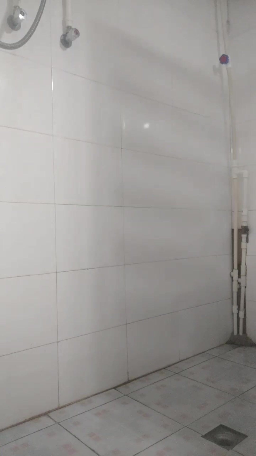 表妹的手机相册回收站发现好多没删干净的自拍照,还有洗澡自慰学母狗撒尿,简直不敢相信