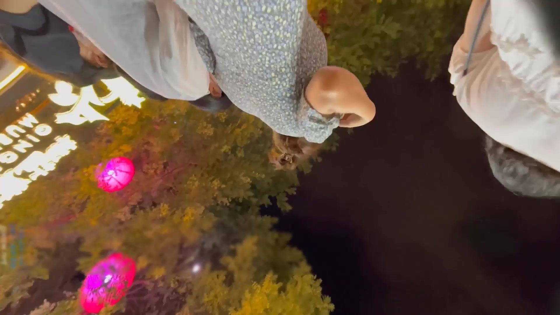 大神尾随跟拍两个逛夜市的极品学妹裙底 文静的外表穿骚丁露毛够反差性感的屁股蛋蛋