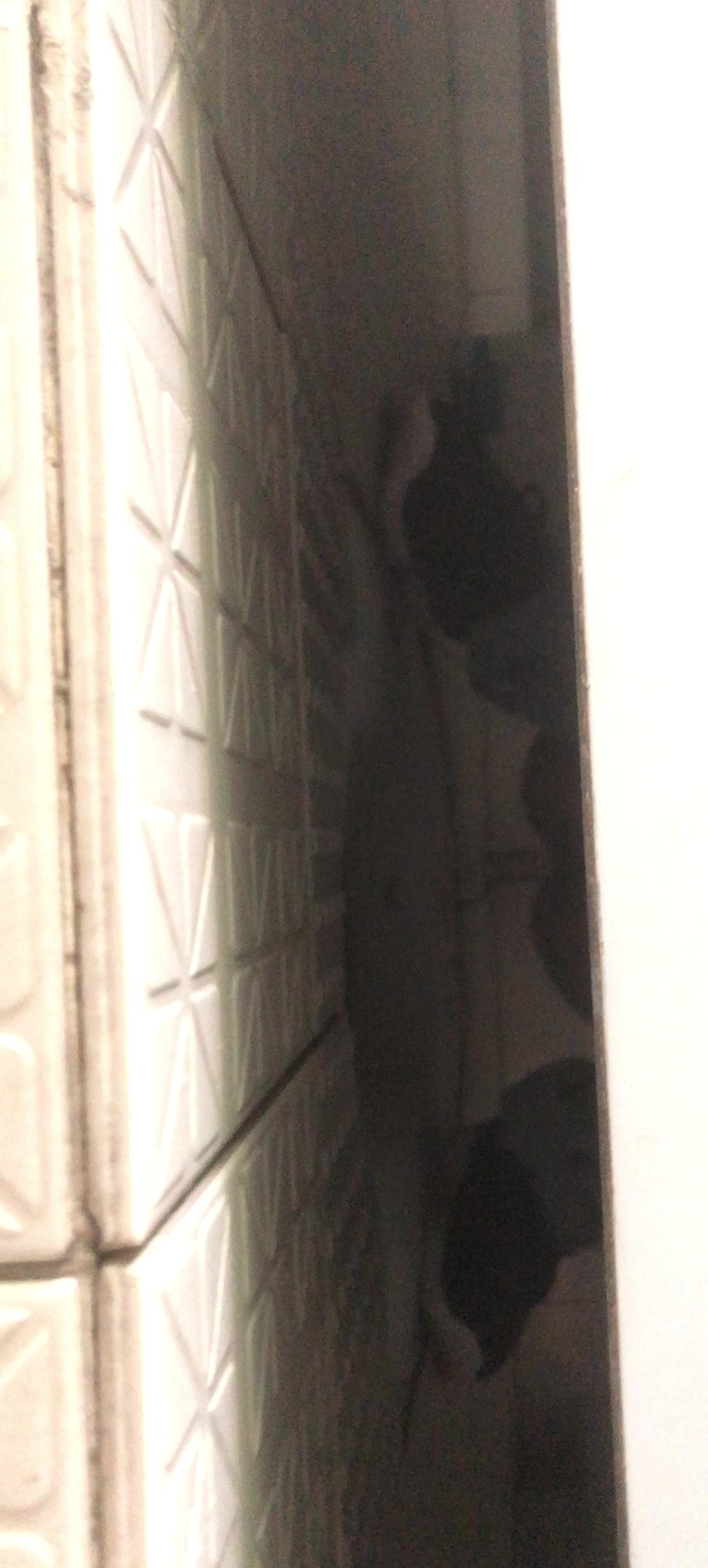 中山大学管理学院偷拍漂亮学妹上厕所 有个妹妹没关门以为没人准备躲进去