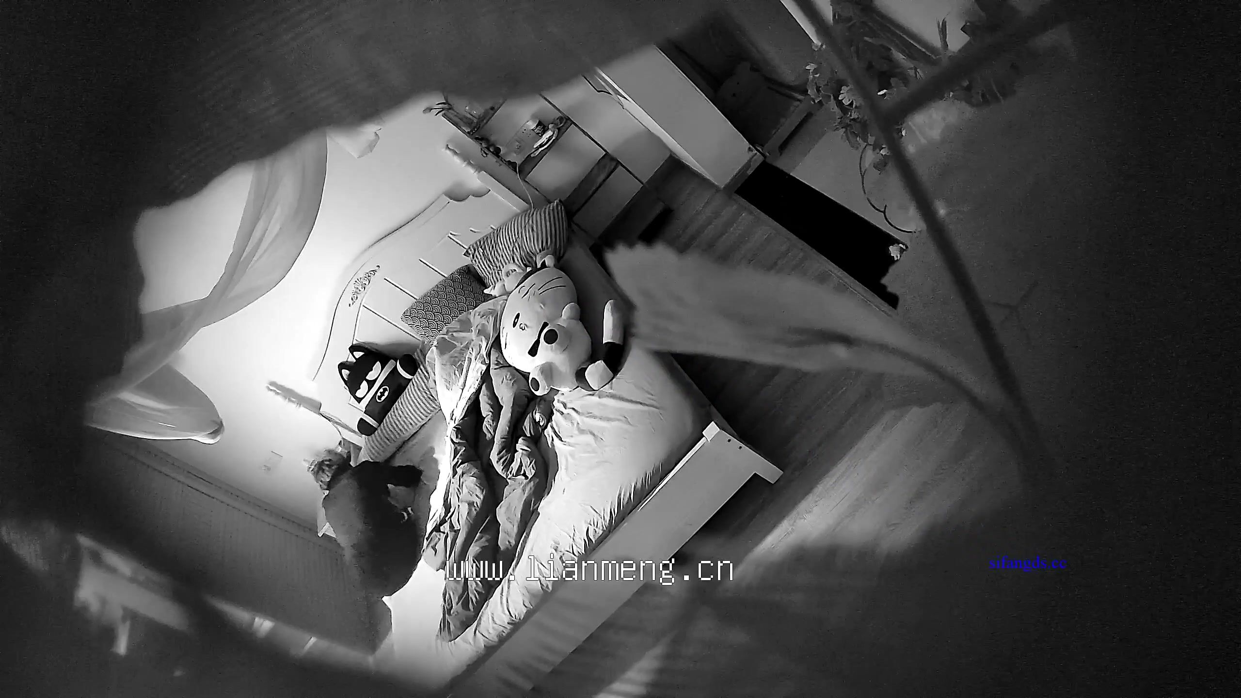 10-2新流出酒店偷拍 新台绿叶房外表高冷的鸭舌帽少妇最终没逃过被黄毛草内射逼里