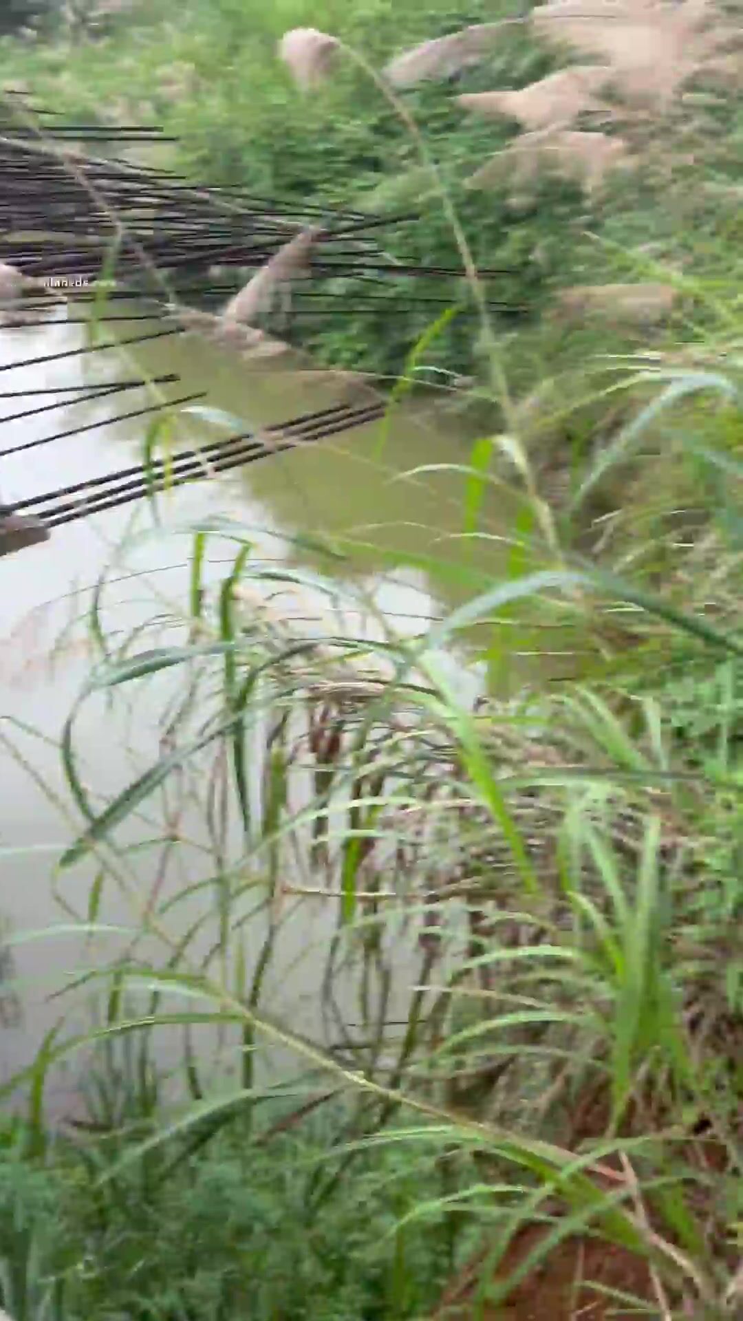 刺激露出自慰放尿和粉丝网友3P性爱啪啪野外露出