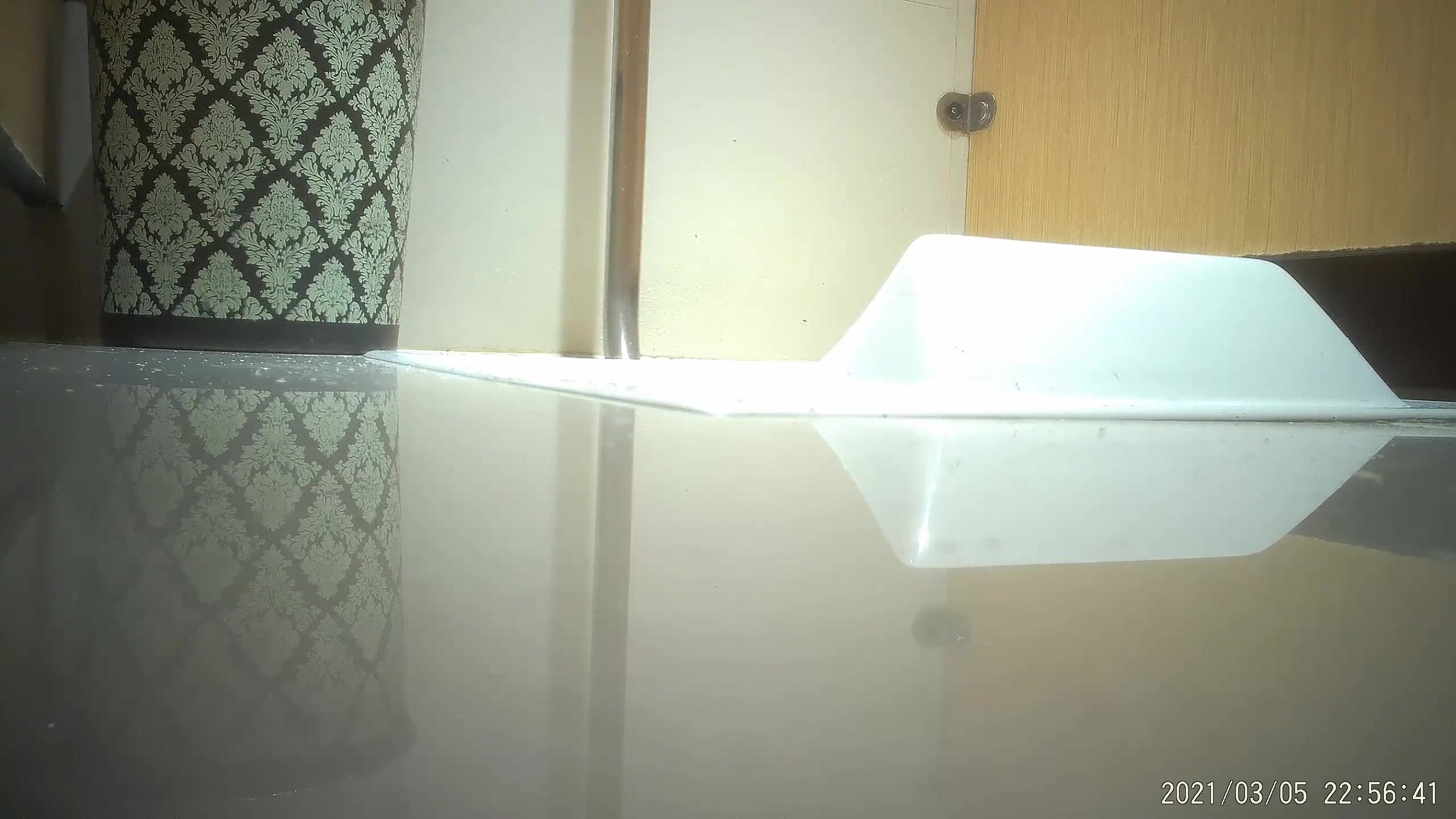 购物中心全景偷拍多位美女少妇 各种肥美的大鲍鱼