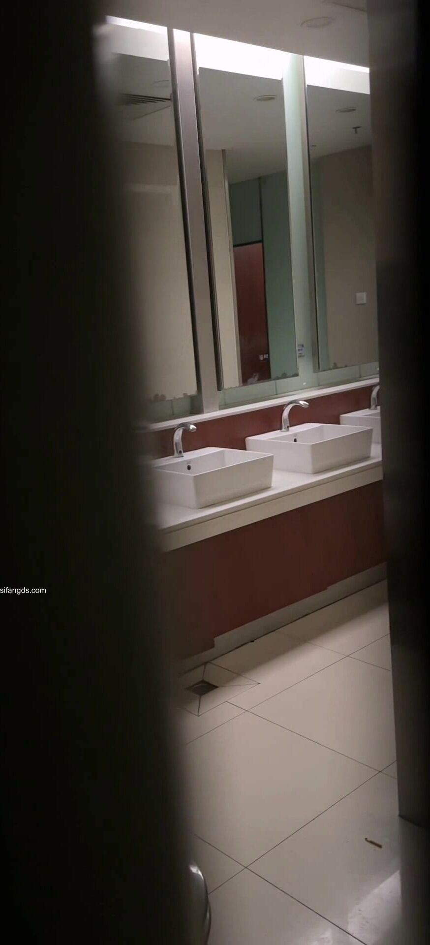 【厕拍】蹲点偷拍几十位 高质量漂亮小姐