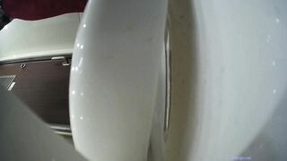 火车马桶上藏了一个摄像头偷拍多位女乘客嘘嘘