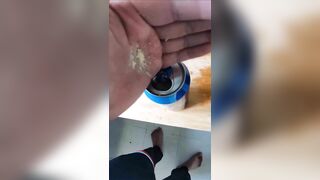 【真实下药催情】啤酒里放催情药给女同事，骚货主动吃鸡吧，没想到操到史上最粉嫩白虎馒头逼，无套内射.