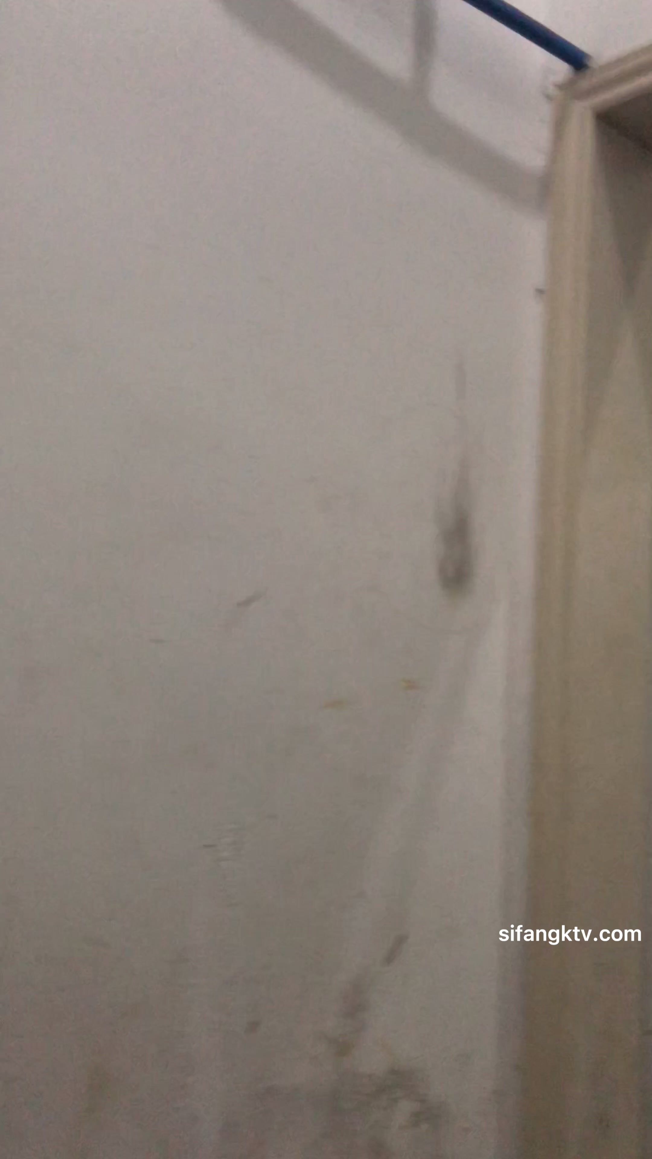 《震撼 精品》牛人厕拍封神之作蹲守国内某购物广场女卫先门口拍脸再进去拍B年轻漂亮美眉居多近景特写原版4K画质流出1