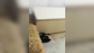 极品熟女 气质十足，大肥逼老逼有味道，主动把无套的大屌塞进自己的老逼中，被狂艹的哇哇大叫.