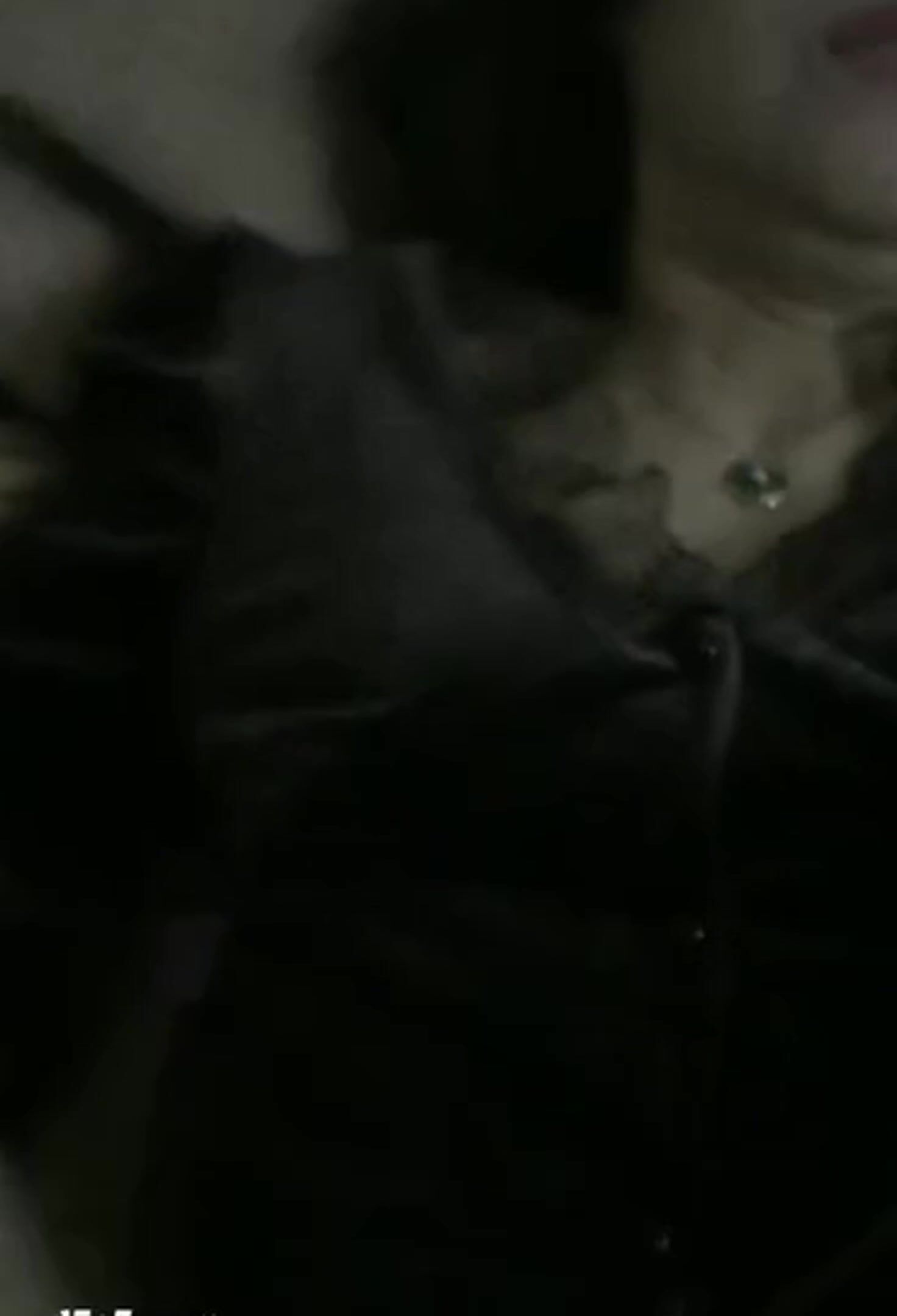 极品熟女 气质十足，大肥逼老逼有味道，主动把无套的大屌塞进自己的老逼中，被狂艹的哇哇大叫.