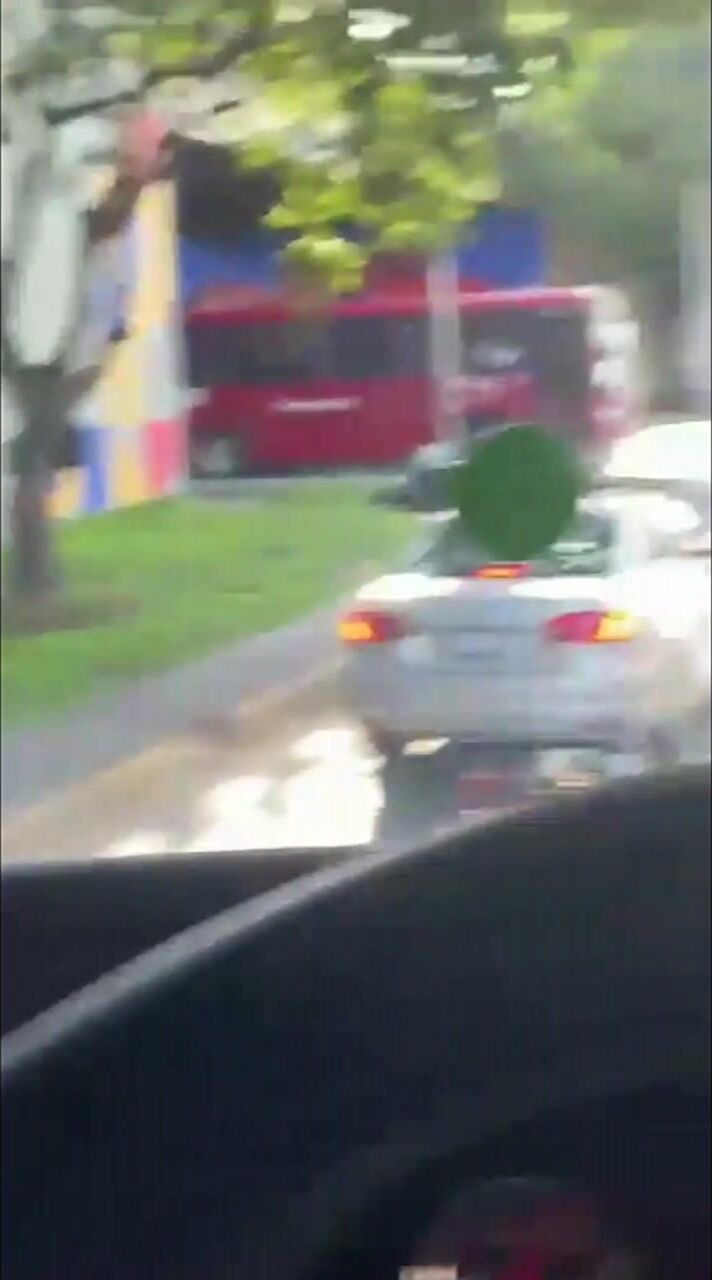 在公交车上看到的惊人一幕 卧槽！这玩的太那个了吧.