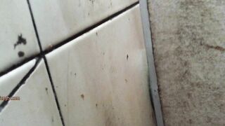 精品厕拍】，大胆坑神藏身办公楼女厕，全方位偸拍超多小姐姐方便，拍脸又拍逼，稀毛鲍鱼真心好看