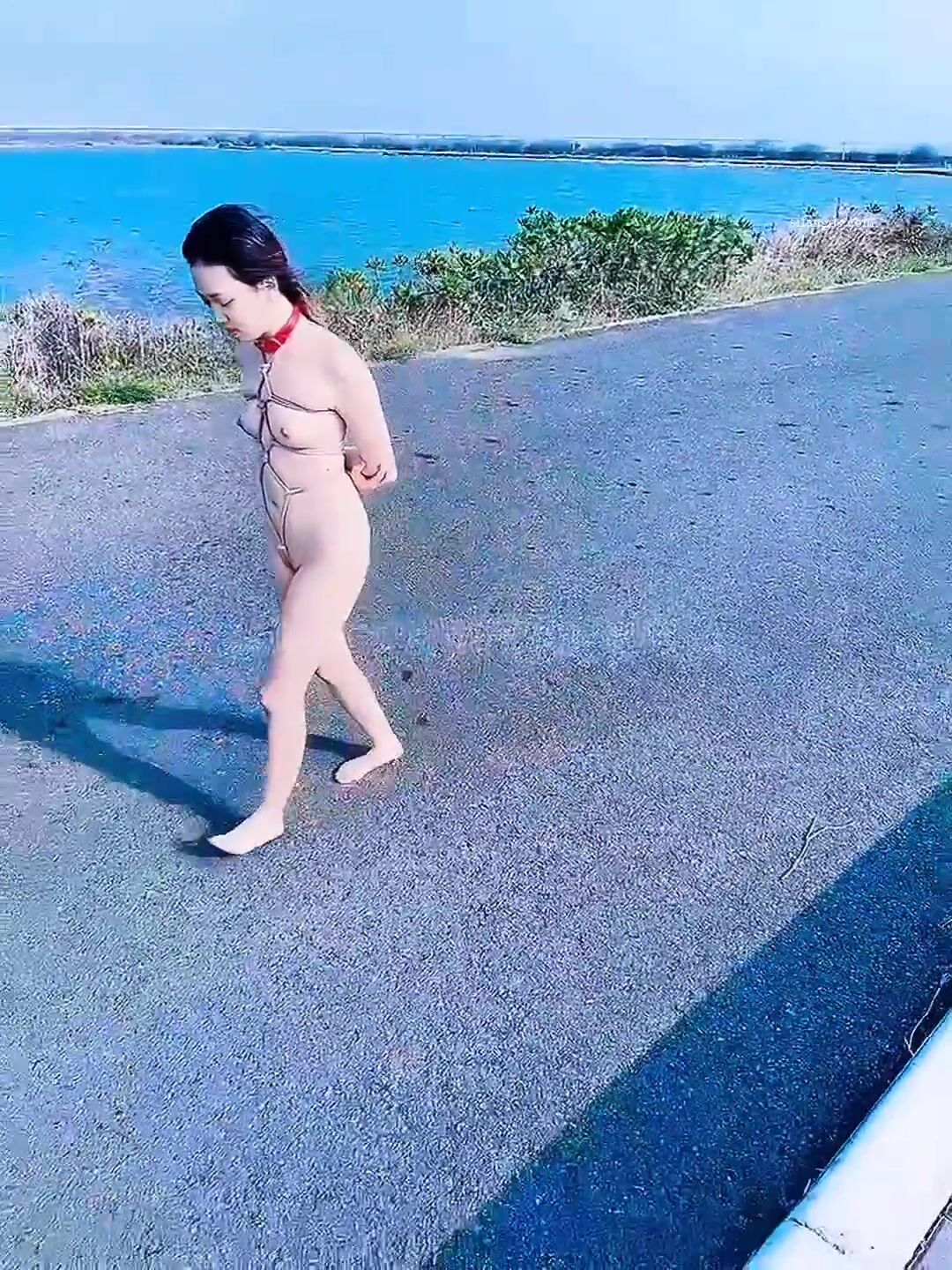 -强烈推荐】，顶级露脸小母狗【Lunana】推特5000元订阅福利①，露出喝尿调教啪啪，各种花样，玩花了.