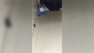 精品厕拍，大胆坑神藏身办公楼女厕，全方位偸拍超多小姐姐方便，拍各种大屁股