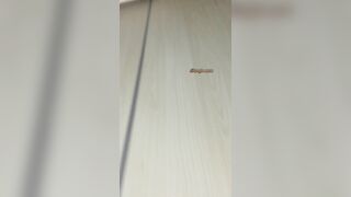 精品厕拍，大胆坑神藏身办公楼女厕，全方位偸拍超多小姐姐方便，拍各种大屁股3