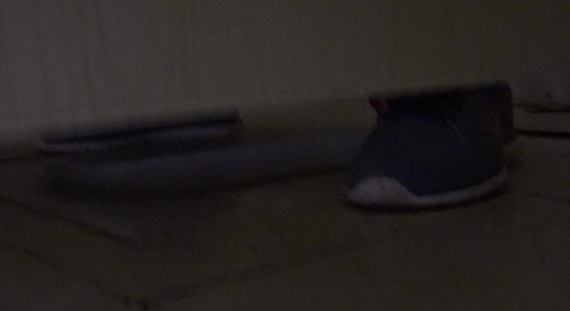 校外补习班女厕全景偷拍❤️多位学妹和美女老师各种粉嫩的小鲍鱼4