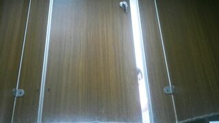 餐厅女厕全景偷拍众多的美女食客 不少高颜值少妇