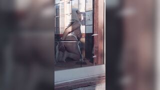 极品樱花妹naomiii-穿着jk制服套各种户外露出啪啪,酒吧约了个贵妇带到房间疯狂后入大淫臀5