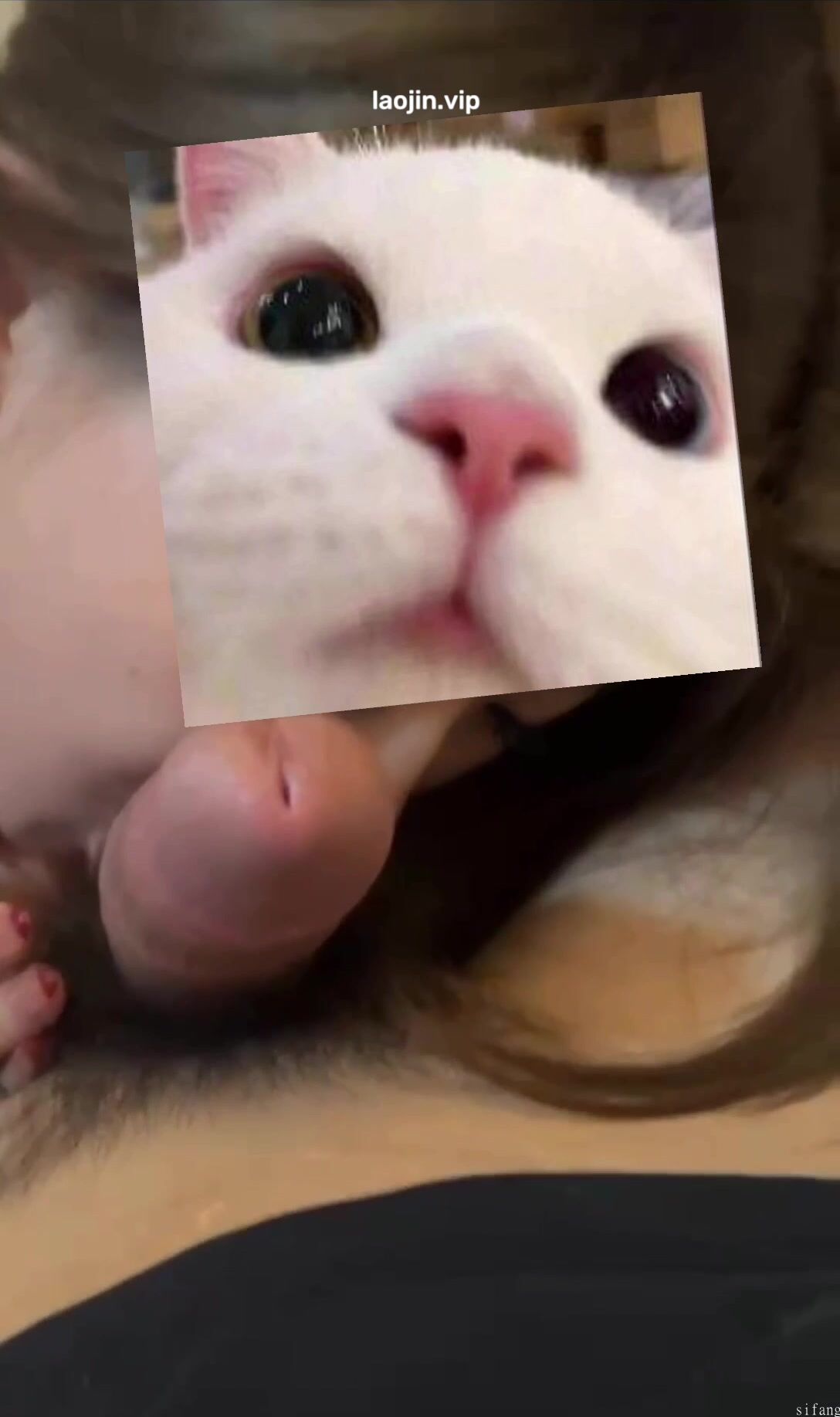 2025年7月最新，真实约啪大神，【Amber】，22岁漂亮学生妹，微露脸，粉嫩多汁鲍鱼，激情啪啪1