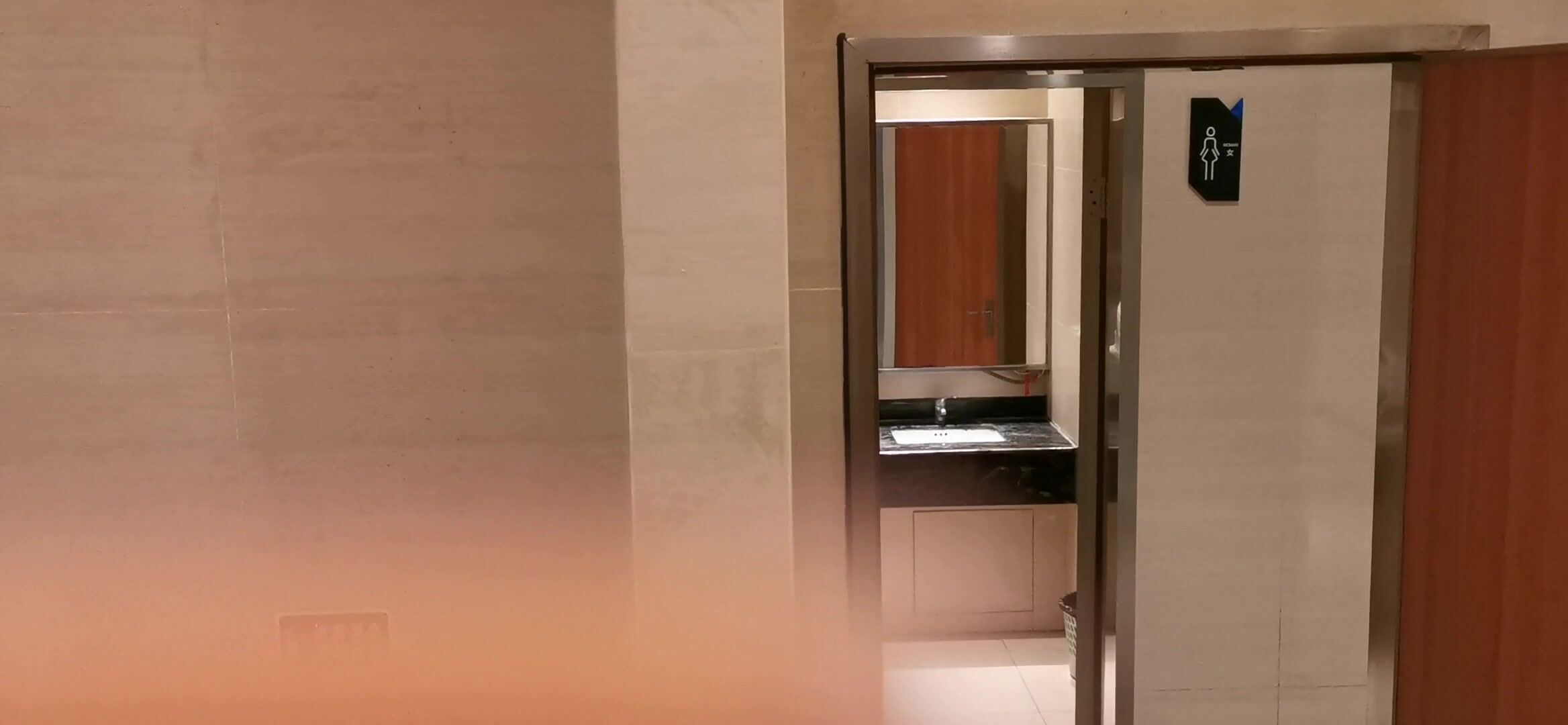 厕拍大神手持闯拍 酒店大堂女厕偷拍几个颜值美女尿尿