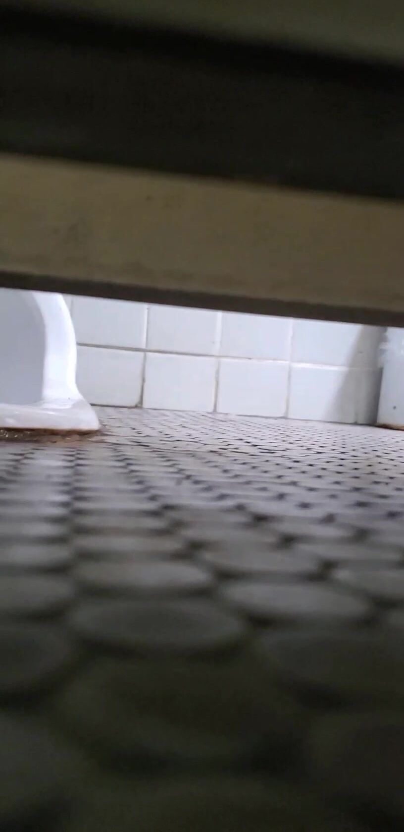 学校附近餐厅女厕偷拍多位漂亮学妹嘘嘘.