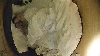 情趣台 10-27 大叔带自己丰满的媳妇儿开房实录 只要屌长 女人的屁股有肉操起来才舒服