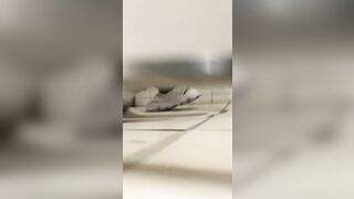 大神潜入高中女厕全景偷拍多位漂亮学妹❤️各种粉嫩的美鲍鱼完美展示1