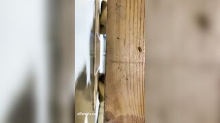 厕拍大神潜入写字间女厕隔板缝4K实拍多位办公妹子方便，同步露脸照