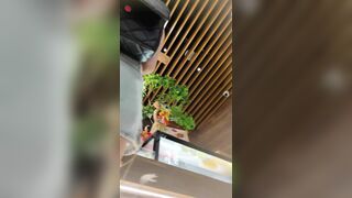 精品推荐 步行街拍抄底大神『KXCD』系列合集第9季20V 专挑年轻好看质量高的小姐姐1