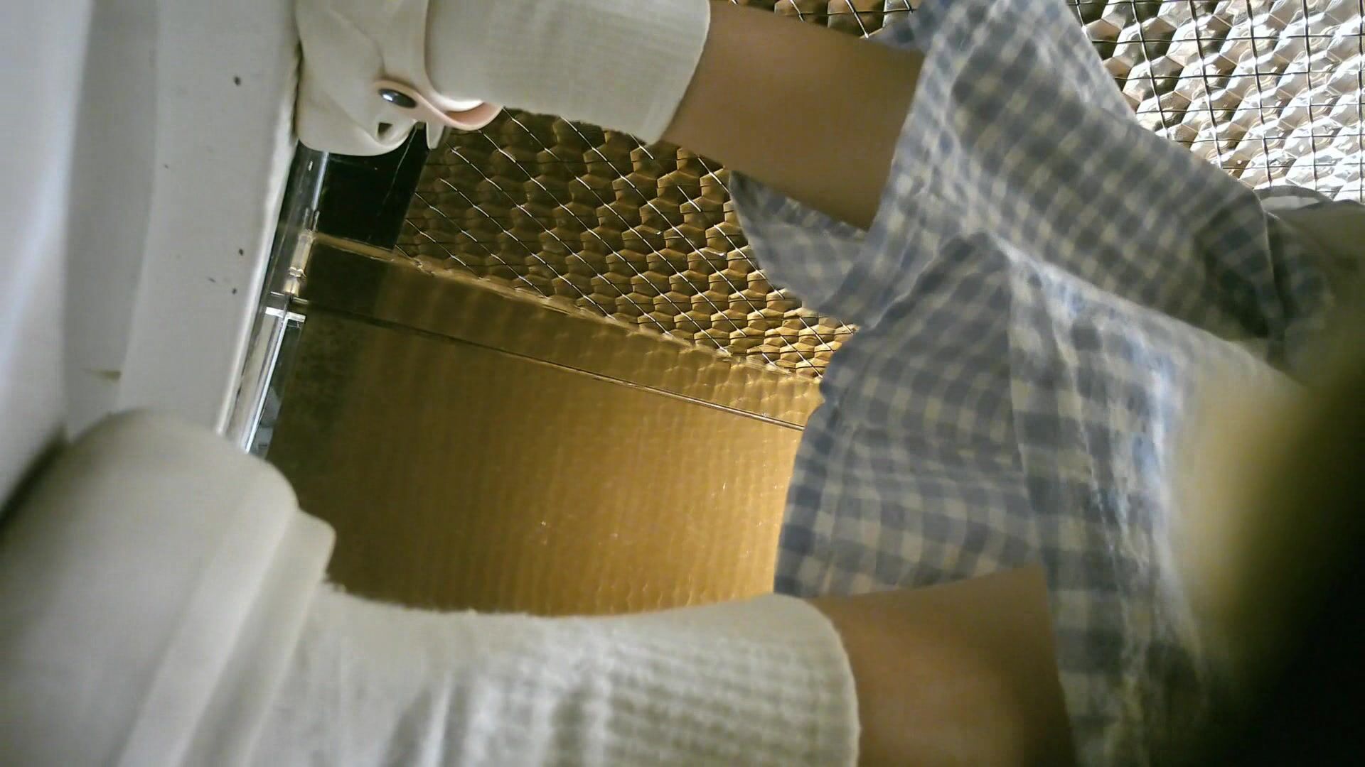 十二月新流出 夜总会女厕侧拍两个年轻小姐姐尿尿稀毛嫩逼