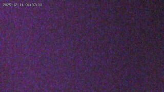 12-14流出酒店偷拍 校园甜美JK裙啪啪后喜欢裸奔展示美丽的纹身裸着袒胸露乳的玩手机