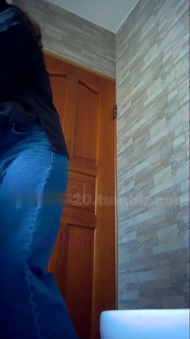 TW偷拍大神《野狼》最新潜入景区女厕偷拍几个妹子尿尿有两个还挺有气质的