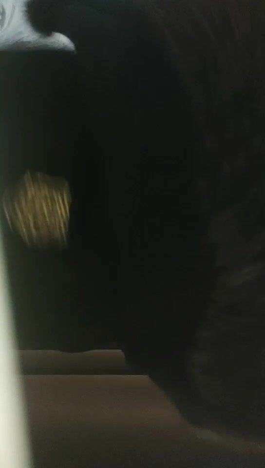 2022-1-2 《用利抽插》妹子刚走下个就来，甜美萌妹，手伸进裤子摸逼，撞击爆插屁股很Q弹，骑乘快速打桩爽翻