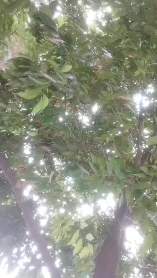 【無水印原版---新片速遞】2022.4.25，【持有无套内射执照探花】，外围的质量，站街的价格